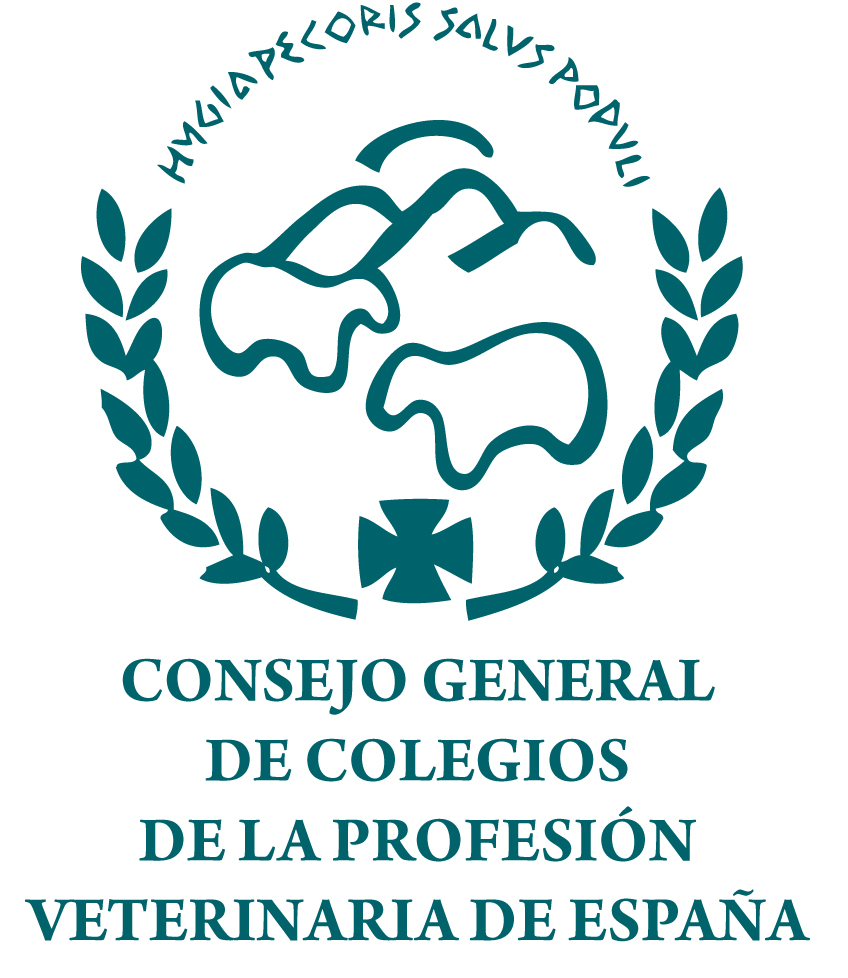 Nombre patrocinador